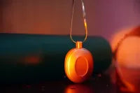 Vine Talk AI BOX - Sex Doll Intimate Smart Companion Voice Box For All Sex Dolls